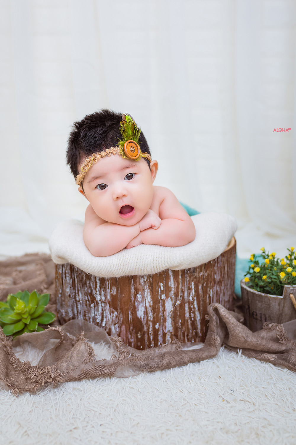 album ảnh newborn 10